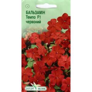 Бальзамин Темпо F1 красный - цветы, 5 семян, ТМ Элитсорт фото, цена